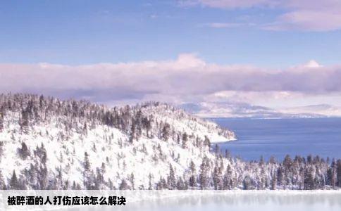 被醉酒的人打伤应该怎么解决