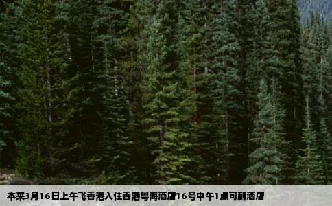 本来3月16日上午飞香港入住香港粤海酒店16号中午1点可到酒店