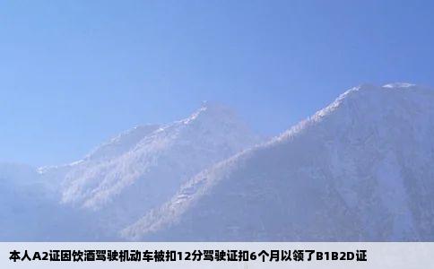 本人A2证因饮酒驾驶机动车被扣12分驾驶证扣6个月以领了B1B2D证