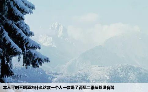 本人平时不喝酒为什么这次一个人一次喝了两瓶二锅头都没有醉