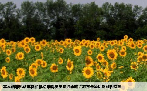 本人骑非机动车辆和机动车辆发生交通事故了对方是酒后驾驶但交警