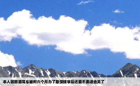 本人因醉酒驾车被判六个月办了取保候审后还要不要进去关了