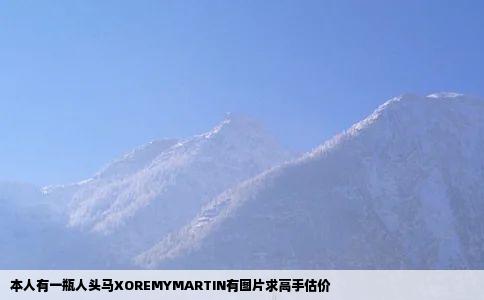 本人有一瓶人头马XOREMYMARTIN有图片求高手估价