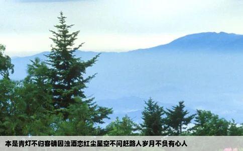 本是青灯不归客却因浊酒恋红尘星空不问赶路人岁月不负有心人