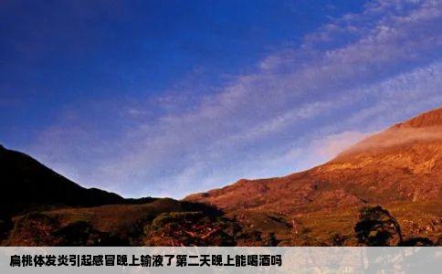 扁桃体发炎引起感冒晚上输液了第二天晚上能喝酒吗