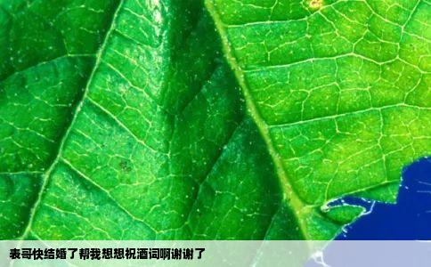 表哥快结婚了帮我想想祝酒词啊谢谢了