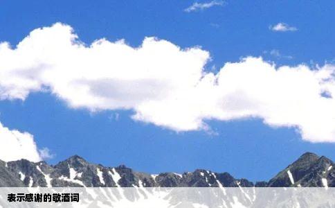 表示感谢的敬酒词