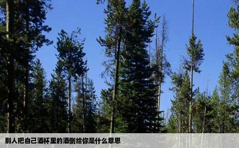 别人把自己酒杯里的酒倒给你是什么意思