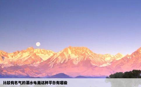 比较有名气的酒水电商这种平台有哪些