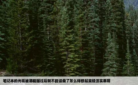 笔记本的光驱被酒精擦过后就不能读盘了怎么样修起来经济实惠啊