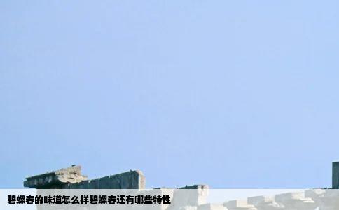 碧螺春的味道怎么样碧螺春还有哪些特性