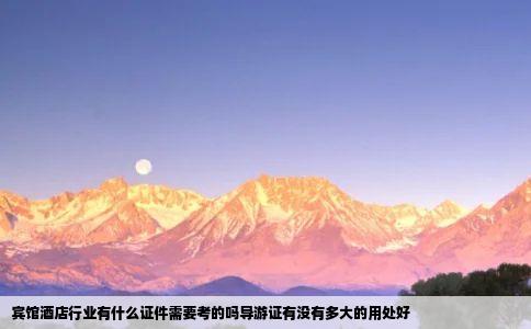 宾馆酒店行业有什么证件需要考的吗导游证有没有多大的用处好