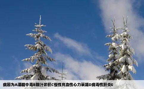 病因为A酒精中毒B胆汁淤积C慢性充血性心力衰竭D病毒性肝炎E