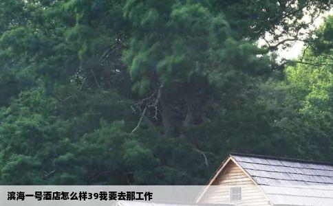 滨海一号酒店怎么样39我要去那工作