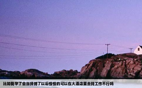 比如我学了会当师傅了以后慢慢的可以在大酒店里去找工作不行吗