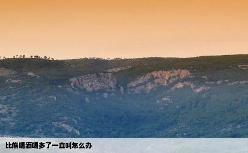 比熊喝酒喝多了一直叫怎么办