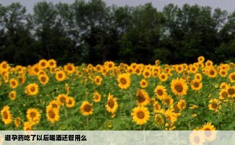 避孕药吃了以后喝酒还管用么