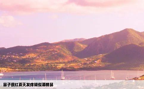 鼻子很红夏天发痒疑似酒糟鼻