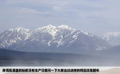 脖西凤酒盖和标都没有生产日期问一下大家出过这样的吗出过是那年