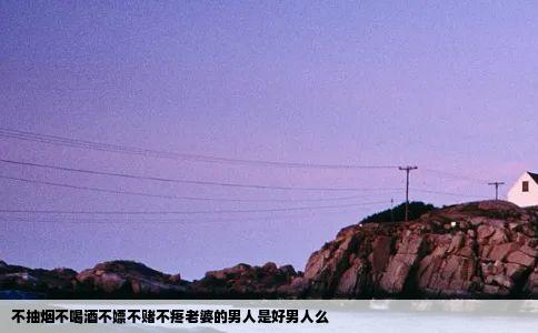 不抽烟不喝酒不嫖不赌不疼老婆的男人是好男人么