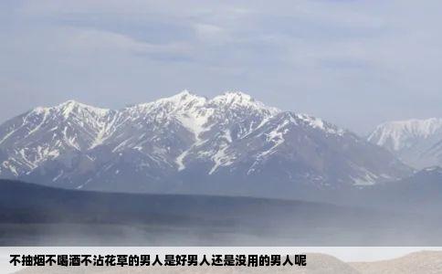 不抽烟不喝酒不沾花草的男人是好男人还是没用的男人呢