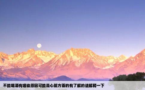 不能喝酒有哪些原因可能是心脏方面的有了解的请解释一下