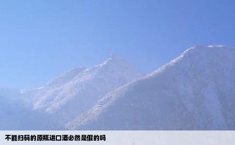 不能扫码的原瓶进口酒必然是假的吗