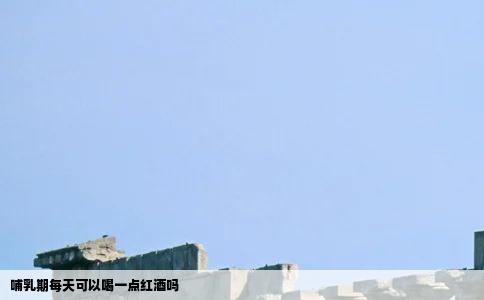 哺乳期每天可以喝一点红酒吗