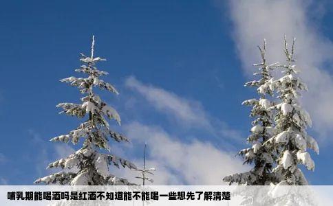 哺乳期能喝酒吗是红酒不知道能不能喝一些想先了解清楚