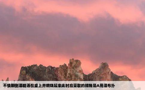 不慎翻倒酒精洒在桌上并燃烧起来此时应采取的措施是A用湿布扑