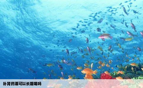 补肾药酒可以长期喝吗