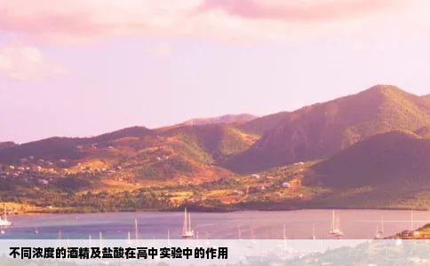 不同浓度的酒精及盐酸在高中实验中的作用