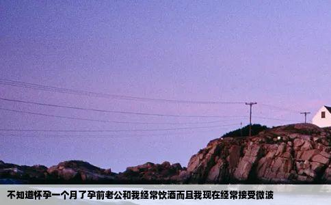 不知道怀孕一个月了孕前老公和我经常饮酒而且我现在经常接受微波