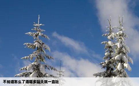 不知道怎么了酒喝多隔天就一直吐