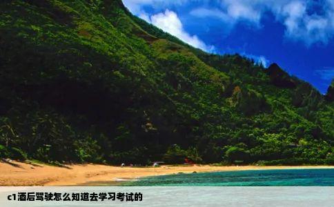 c1酒后驾驶怎么知道去学习考试的