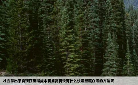 才会拿出来卖现在觉得成本有点高有没有什么快速窖藏白酒的方法呢