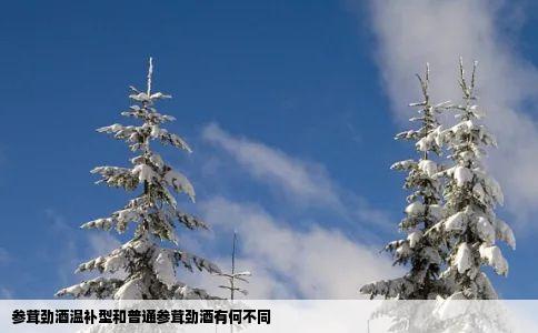 参茸劲酒温补型和普通参茸劲酒有何不同