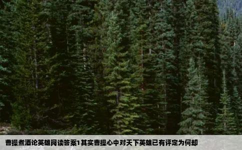 曹操煮酒论英雄阅读答案1其实曹操心中对天下英雄已有评定为何却