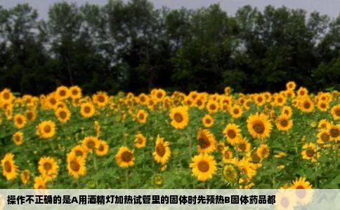 操作不正确的是A用酒精灯加热试管里的固体时先预热B固体药品都