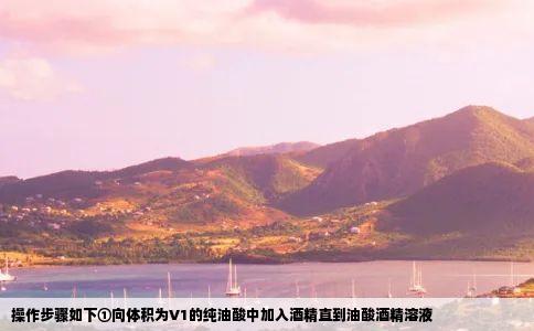 操作步骤如下①向体积为V1的纯油酸中加入酒精直到油酸酒精溶液