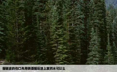 擦破皮的伤口先用碘酒擦后涂上紫药水可以么