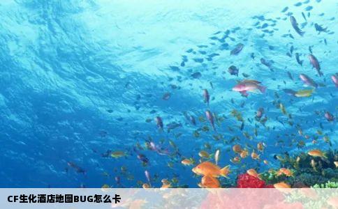 CF生化酒店地图BUG怎么卡