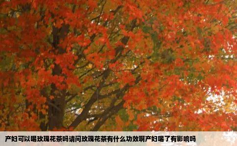 产妇可以喝玫瑰花茶吗请问玫瑰花茶有什么功效啊产妇喝了有影响吗