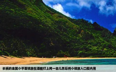 长柄的金属小平面镜放在酒精灯上烤一会儿然后将小镜放入口腔内用