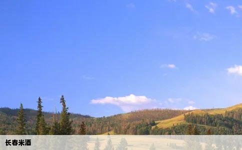 长春米酒