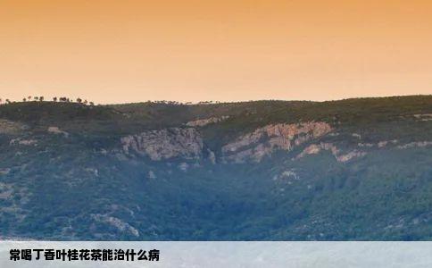 常喝丁香叶桂花茶能治什么病