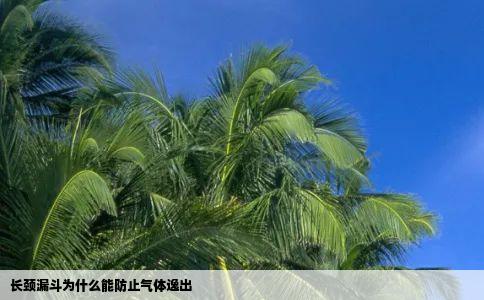 长颈漏斗为什么能防止气体逸出