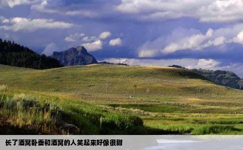 长了酒窝卧蚕和酒窝的人笑起来好像很甜