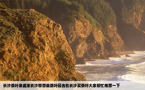 长沙茶叶亲戚来长沙想带些茶叶回去在长沙买茶叶大家帮忙推荐一下