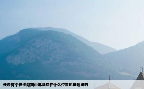 长沙有个长沙湖南延年酒店在什么位置地址哪里的